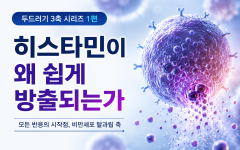 두드러기 반복 원인 1편 | 히스타민이 왜 쉽게 방출되는가