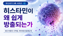 두드러기 반복 원인 1편 | 히스타민이 왜 쉽게 방출되는가