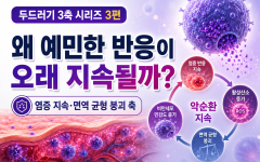두드러기 반복 원인 3편 | 왜 예민한 반응이 오래 지속될까?