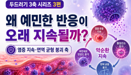 두드러기 반복 원인 3편 | 왜 예민한 반응이 오래 지속될까?