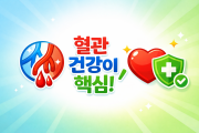 치질 관리에서 혈관이 중요한 이유