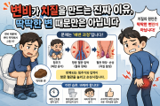변비가 치질을 만드는 진짜 이유, 딱딱한 변 때문만은 …
